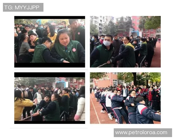 深圳排球队逆袭之路揭秘大师赛特别报道展现拼搏精神与团队力量